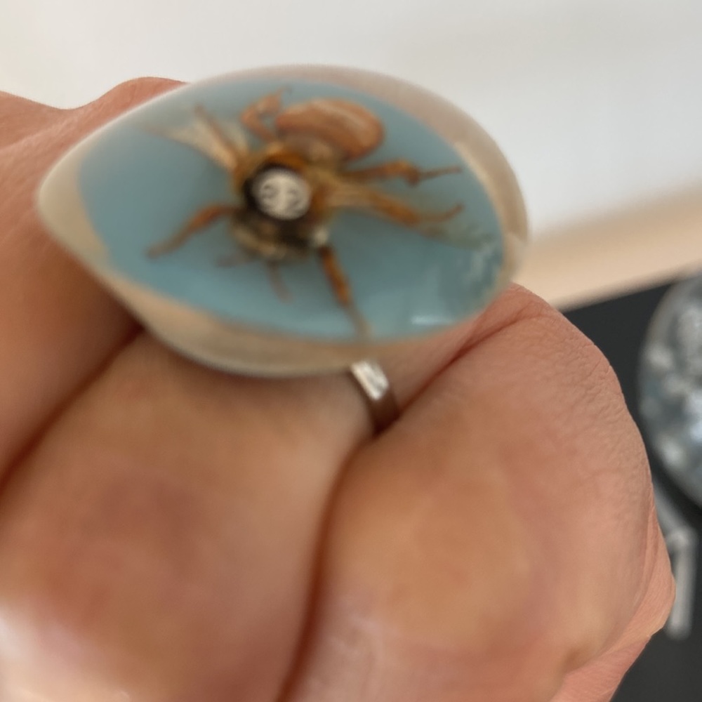 Lucite Insect Adjustable Ring - Picture 3 of 6